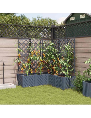 Градинска саксия с решетка 5 pcs Светлосиво 120 x 120 x 143 см