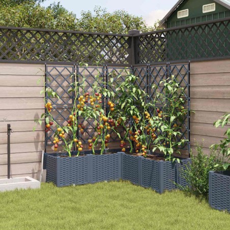 Градинска саксия с решетка 5 pcs Светлосиво 120 x 120 x 143 см
