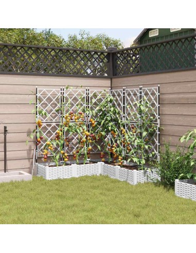 Градинска саксия с решетка 5 pcs Бяло 120 x 120 x 125.5 см ПП