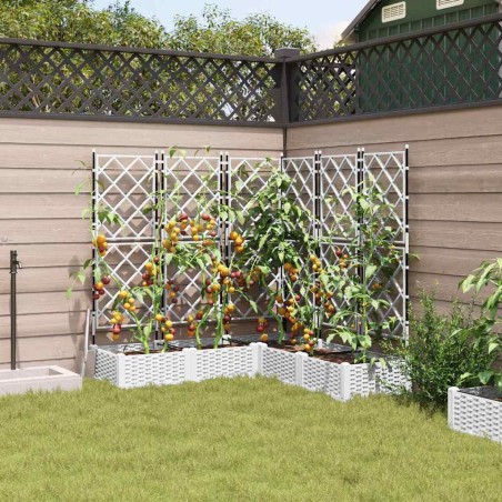 Градинска саксия с решетка 5 pcs Бяло 120 x 120 x 125.5 см ПП