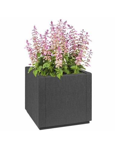 Градинска саксия Антрацит 36 x 36 x 35 см Полипропилен