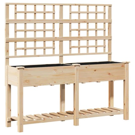 Градинска саксия с рафт Бежово 161 x 46 x 152.5 см Твърда ела