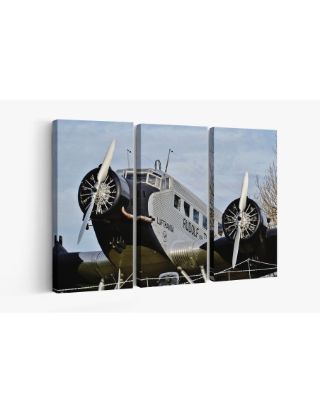 Картина на Стар самолет на LUFTHANSA - k1044950 -PAGAGAL
