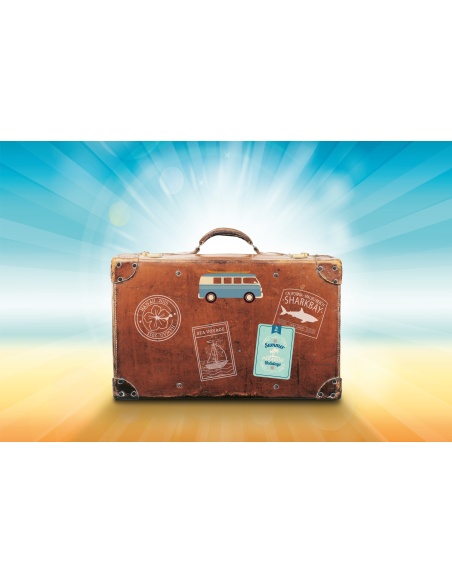 Картина на Куфар готов за път - k1149289 -PAGAGAL