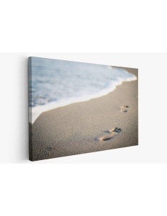 Картина на Стъпки по пясъка - k1281780 -PAGAGAL
