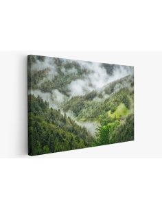 Картина на Мъгла в гората - k1476021 -PAGAGAL
