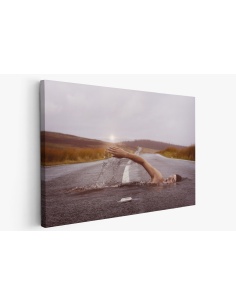Картина на Картина - k1678307 -PAGAGAL