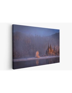 Картина на Мъгла в гората - k1900345 -PAGAGAL