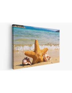 Картина на Морска звезда в пясъка - k2315434 -PAGAGAL