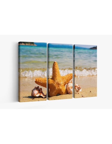 Картина на Морска звезда в пясъка - k2315434 -PAGAGAL