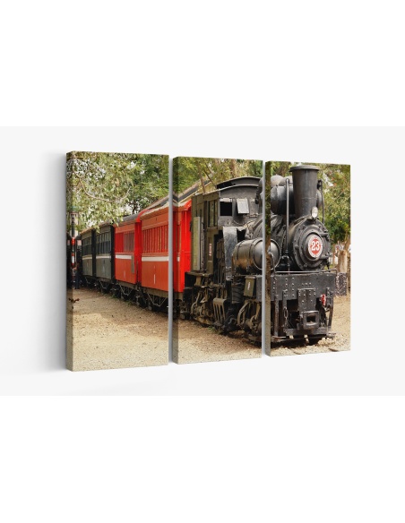 Картина на Стар влак експонат - k2654212 -PAGAGAL