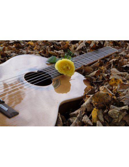 Картина на Киатара и роза - k2806928 -PAGAGAL
