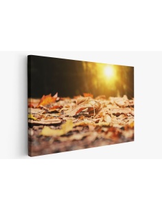 Картина на Есенни паднали листа - k2874547 -PAGAGAL