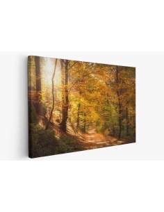 Картина на Есенна пътека - k2942492 -PAGAGAL