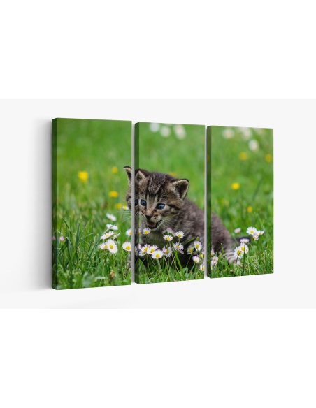 Картина на Коте и цветя - k2948404 -PAGAGAL