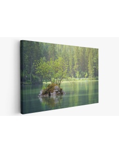 Картина на Езеро в планината - k3095682 -PAGAGAL