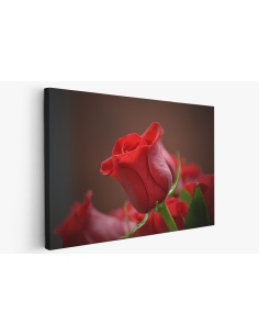 Картина на Червена роза - k3115353 -PAGAGAL