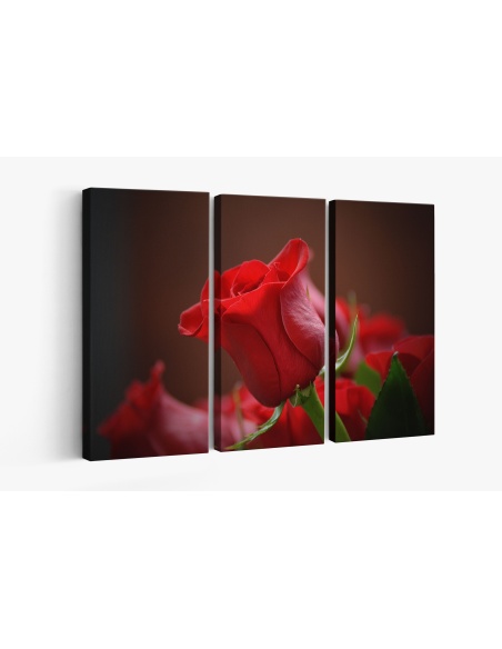 Картина на Червена роза - k3115353 -PAGAGAL