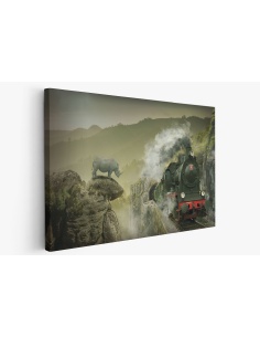 Картина на Влак и носорог - k3124200 -PAGAGAL
