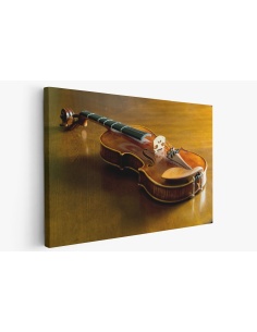 Картина на Класическа цигулка - k3131120 -PAGAGAL
