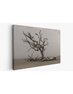 Картина на Дърво на брега - k3137482 -PAGAGAL