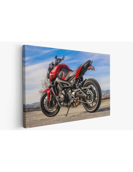 Картина на Мотоциклет YAMAHA FZ-09 - k3147278 -PAGAGAL