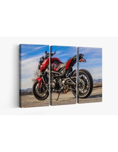 Картина на Мотоциклет YAMAHA FZ-09 - k3147278 -PAGAGAL