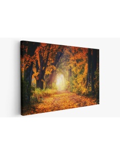 Картина на Красива есенна картина - k3186876 -PAGAGAL