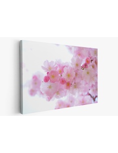 Картина на Вишневи цветчета - k324175 -PAGAGAL