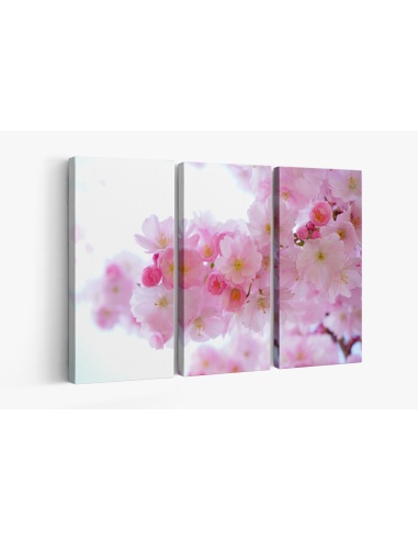 Картина на Вишневи цветчета - k324175 -PAGAGAL