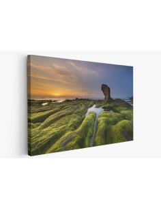 Картина на Картина - k3358817 -PAGAGAL