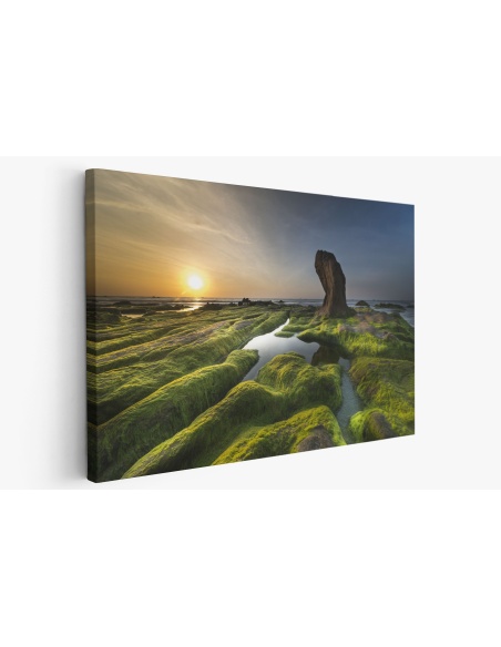 Картина на Картина - k3358820 -PAGAGAL