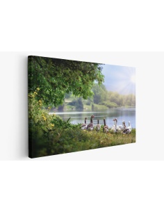 Картина на Картина - k3379677 -PAGAGAL