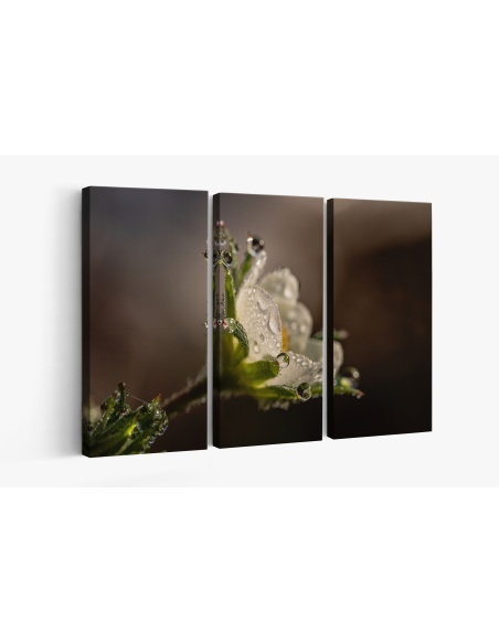 Картина на Картина - k3402550 -PAGAGAL