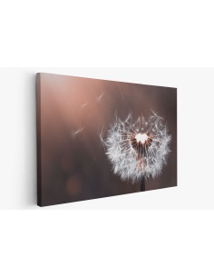 Картина на Картина - k3416140 -PAGAGAL