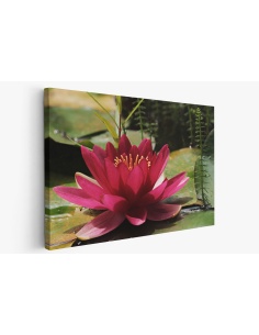 Картина на Картина - k3478924 -PAGAGAL