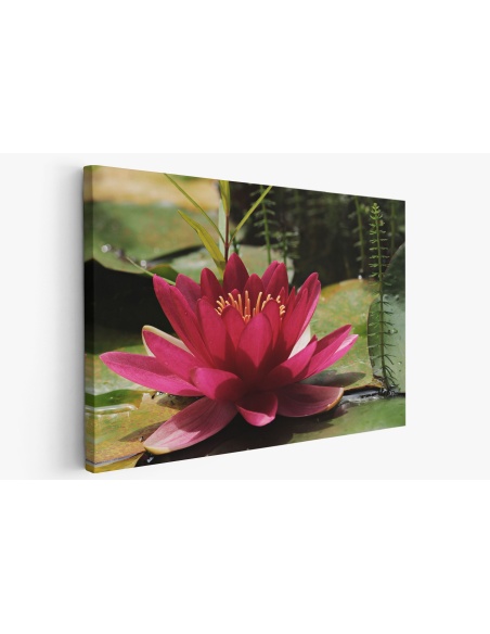 Картина на Картина - k3478924 -PAGAGAL