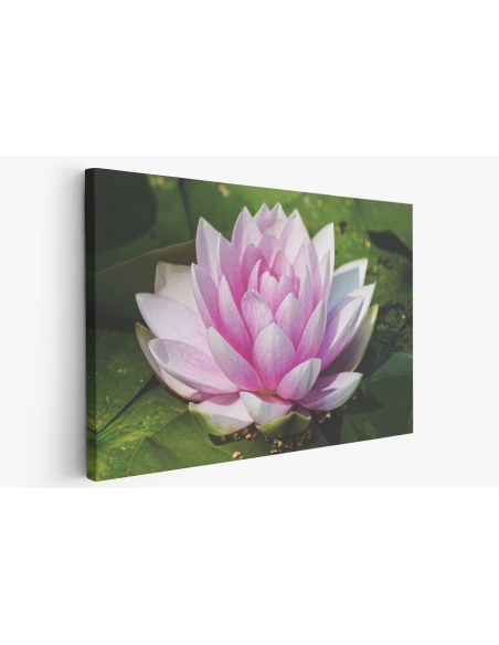 Картина на Картина - k3504363 -PAGAGAL