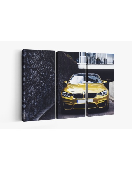 Картина на Картина - k3533813 -PAGAGAL