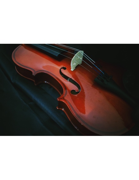 Картина на Картина - k3577816 -PAGAGAL