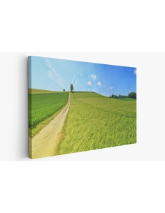 Картина на Картина - k3629120 -PAGAGAL
