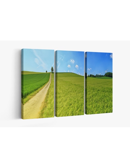 Картина на Картина - k3629120 -PAGAGAL