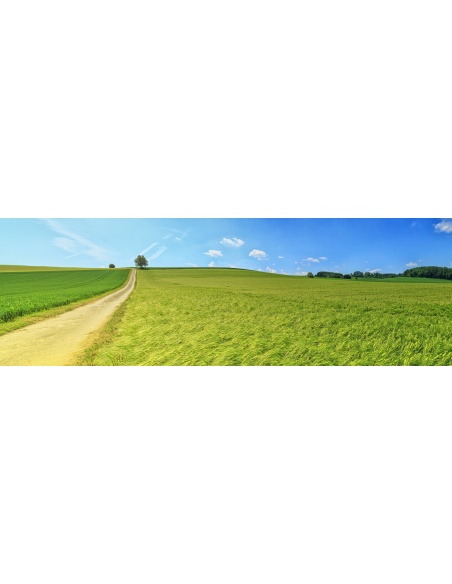 Картина на Картина - k3629120 -PAGAGAL