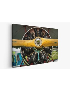 Картина на Картина - k3657356 -PAGAGAL