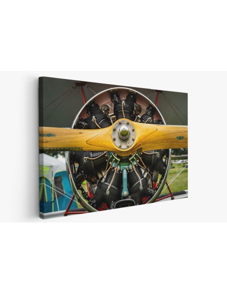 Картина на Картина - k3657356 -PAGAGAL