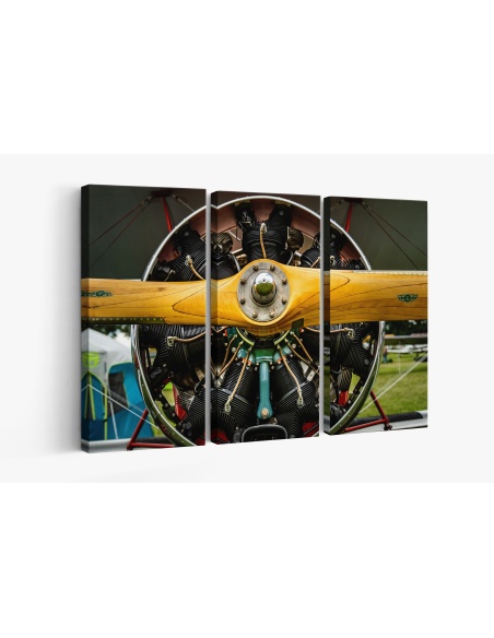 Картина на Картина - k3657356 -PAGAGAL