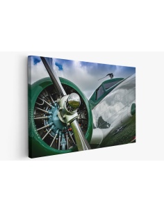 Картина на Картина - k3657371 -PAGAGAL