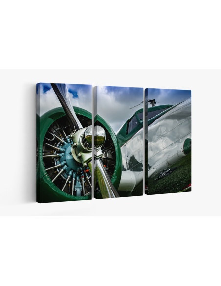 Картина на Картина - k3657371 -PAGAGAL