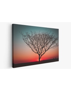 Картина на Картина - k3670232 -PAGAGAL
