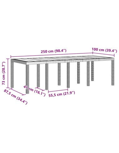 Градинска маса Бяло 250 x 100 x 73 см полиратан